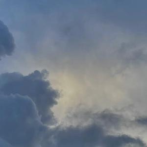 骑女马四肢着地爬行
