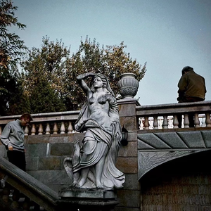 骑女马四肢着地爬行
