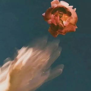 骑女马四肢着地爬行
