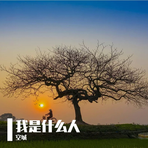 骑女马四肢着地爬行
