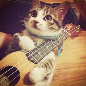 骑女马四肢着地爬行
